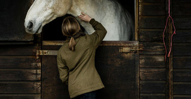 Box rest for horses | Tips and advice