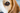 Dogs