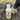 Lotion for horses