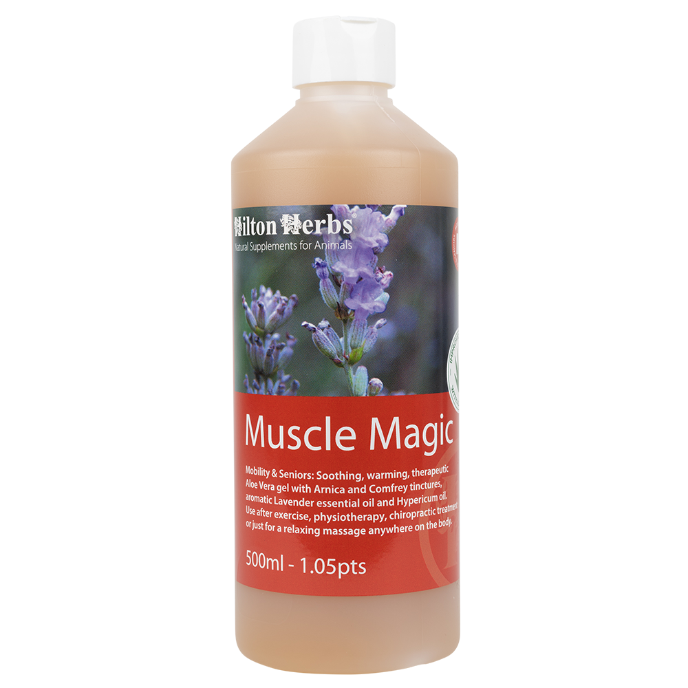 Muscle Magic - 0.5pt Bottle
