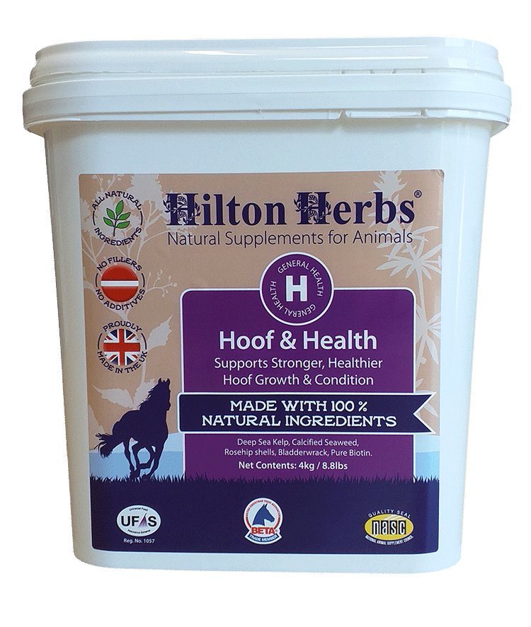 Hooth & Health - 8.8lb Tub Front