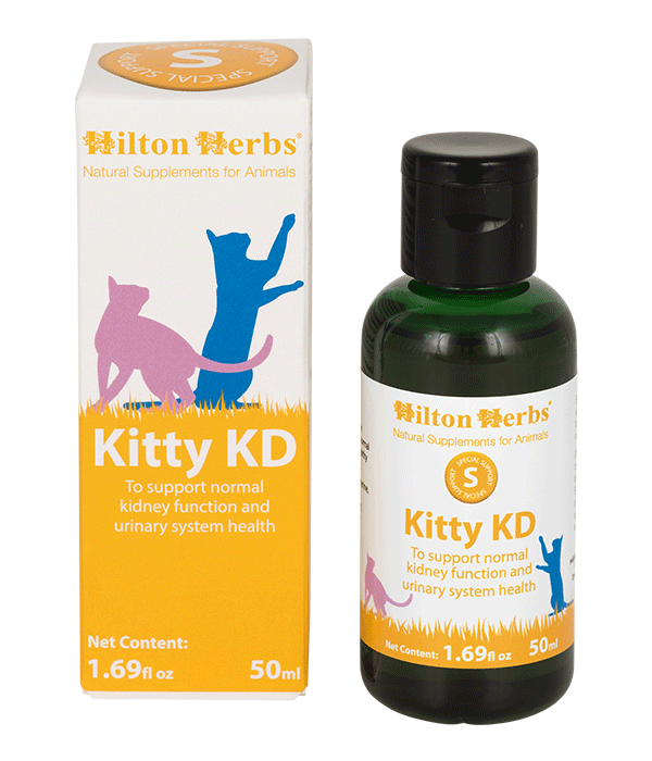 Kitty KD - 1.69fl oz Bottle