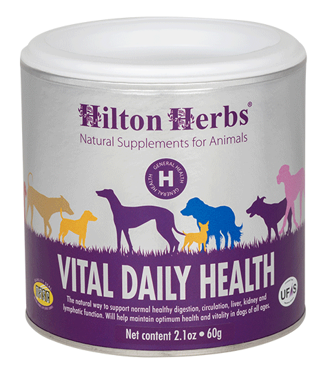 Vital Daily Health - 60g Tub