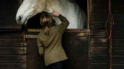 Box rest for horses | Tips and advice