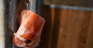 Should I feed my horse salt?