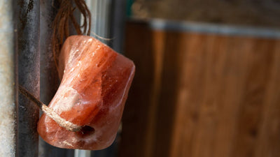 Should I feed my horse salt?