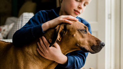 Supplements for skin and coat