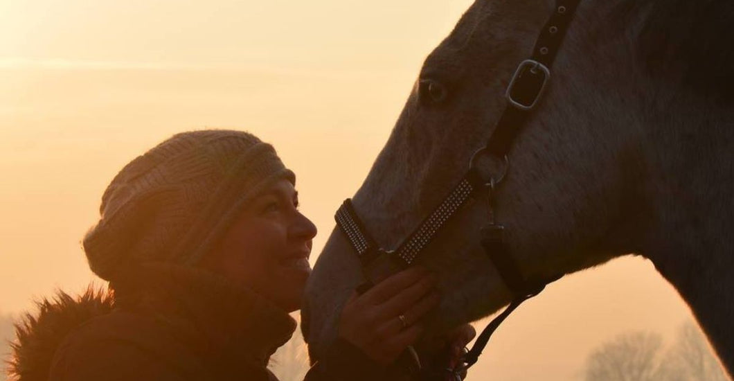 Tips for pet owners during fireworks season Hilton Herbs