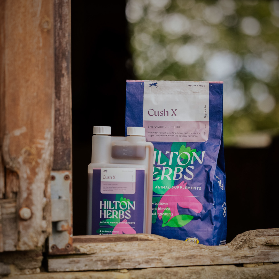 Cush X Liquid – Hilton Herbs
