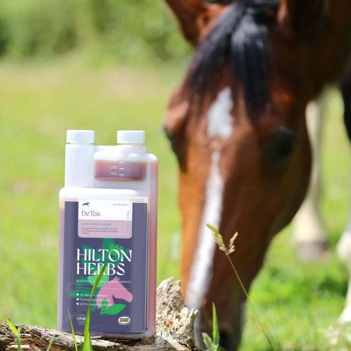 DeTox Liquid – Hilton Herbs