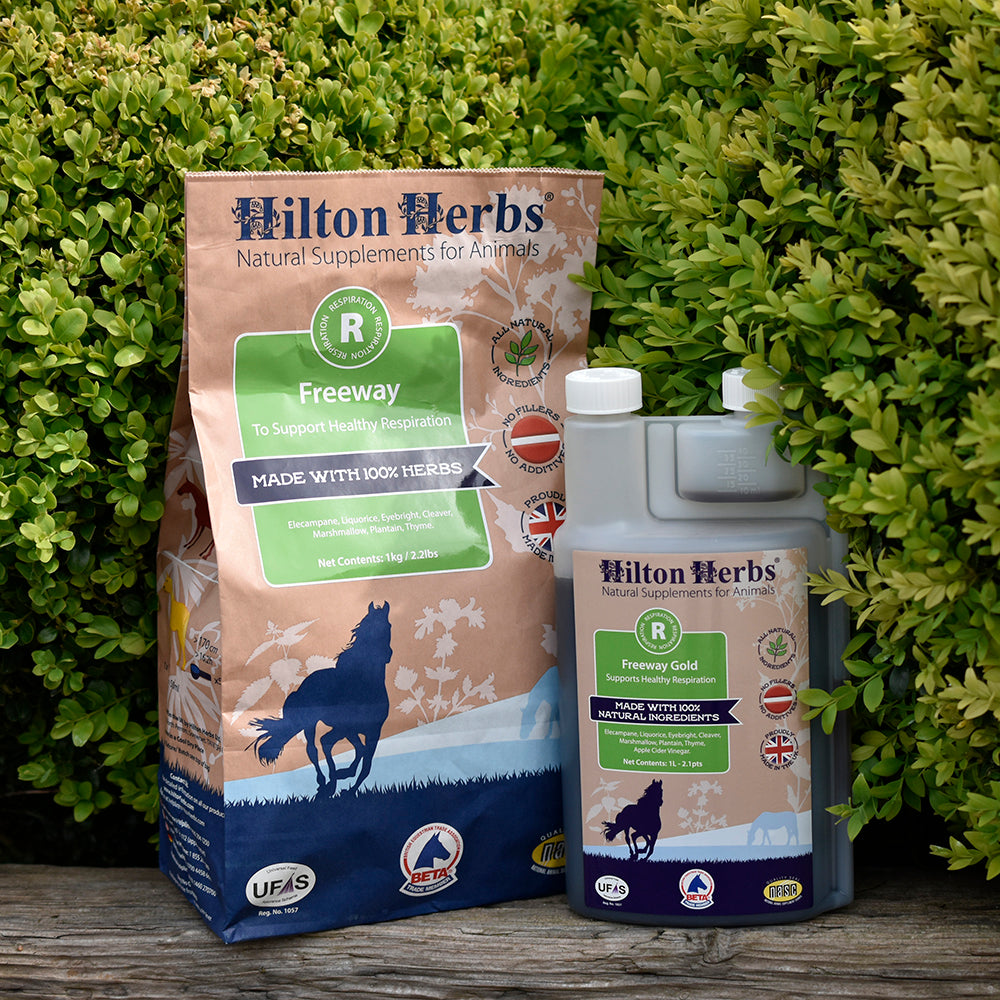 Horse Herbs Winter Support – 1kg Natural Herbal Supplement For Equine Health