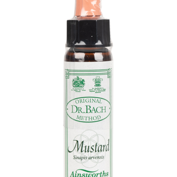 Mustard