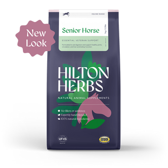 Senior Horse