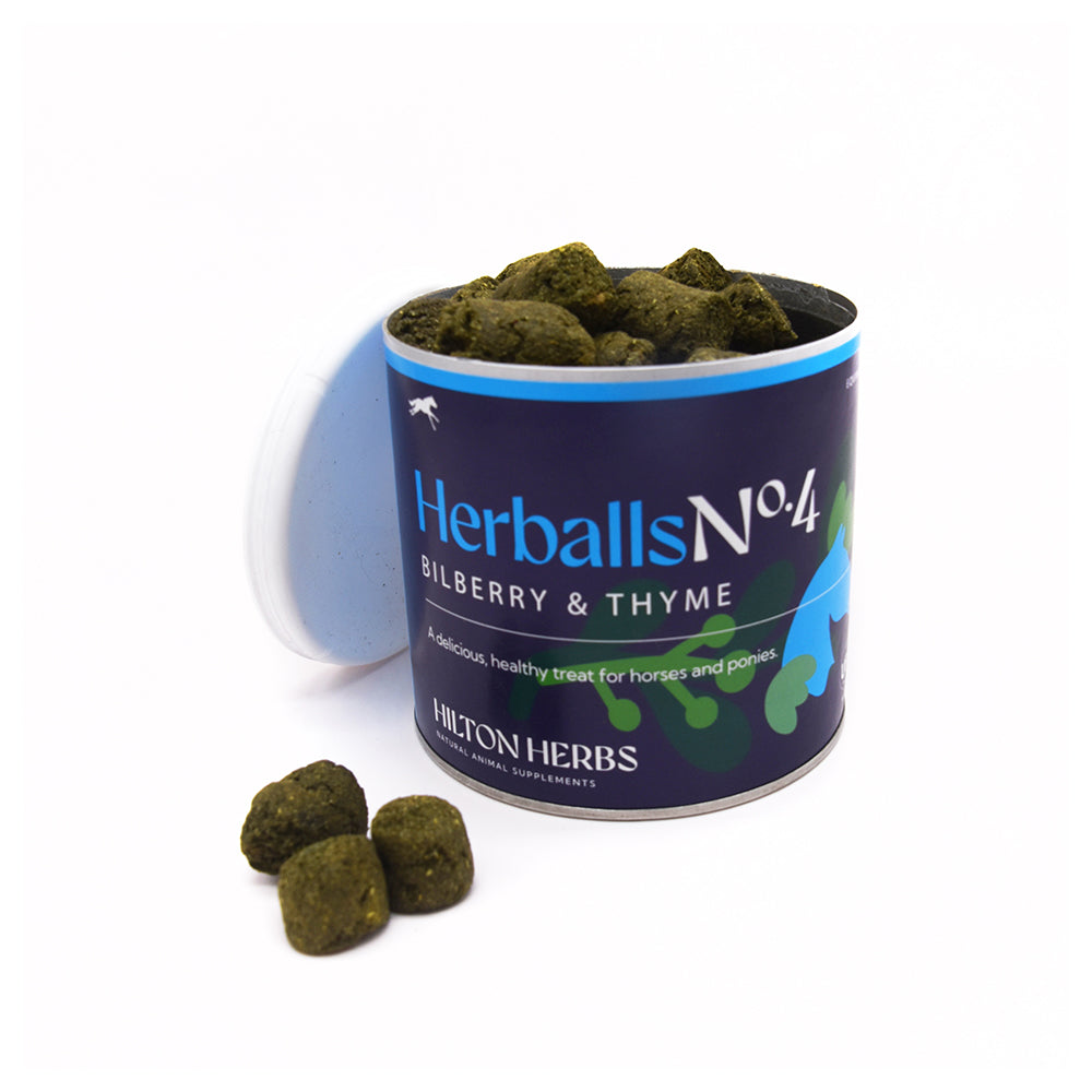 Equilibrium- Hilton Herbs (1kg) | Sellerie Equidam