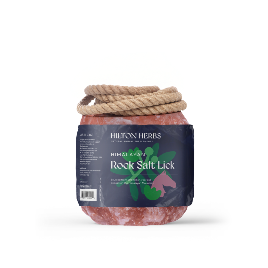 Himalayan Salt Licks