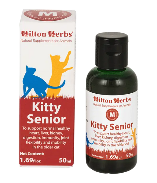 Kitty Senior – Hilton Herbs
