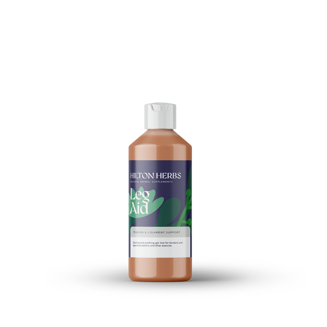 SETH. Herb Toning Lotion ハーブトーニングローション ハーブ庭園 SETH. Herb Toning Lotion ハーブトーニングローション ハーブ庭園