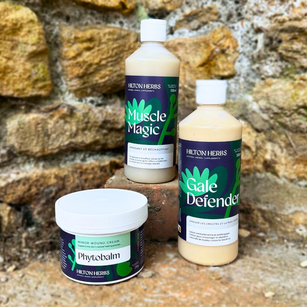 natural animal supplements lotions and creams for horses muscle cream to support mobility and movement mud defender to protect against mud-dwelling bacteria and support the skin's natural barrier phytobalm for minor wounds minor wound cream to support skin's natural healing process