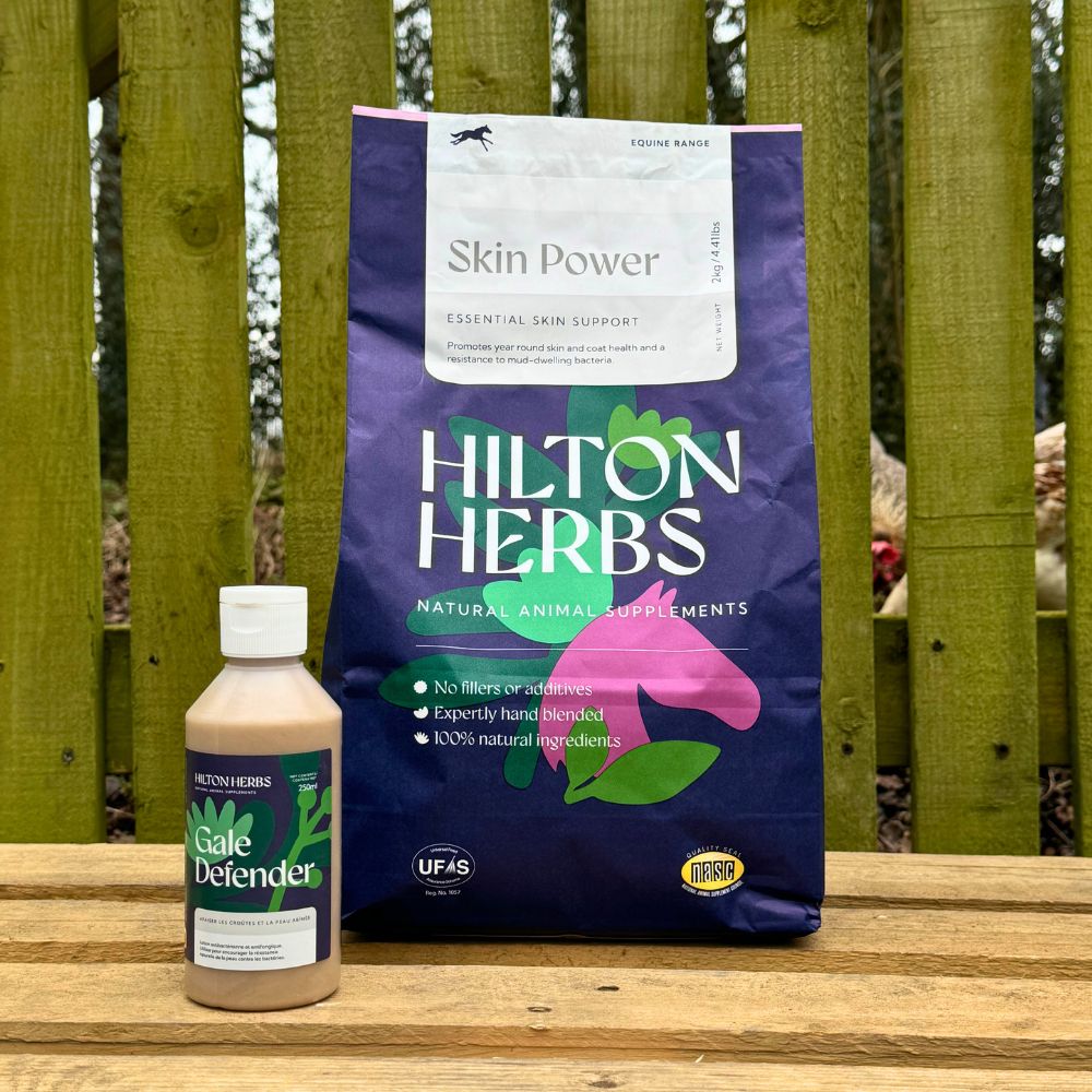 natural animal supplement for horses essential skin support resistance to mud-dwelling bacteria