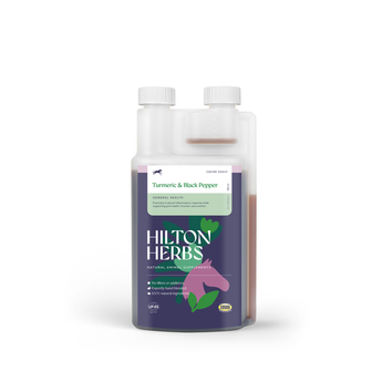 Turmeric & Black Pepper Tincture