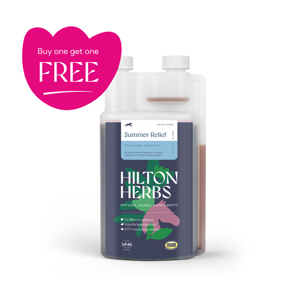 Hilton Herbs Summer Relief supplement container with promotional text on a white background