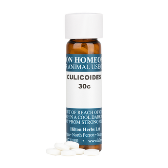Culicoides - 30c