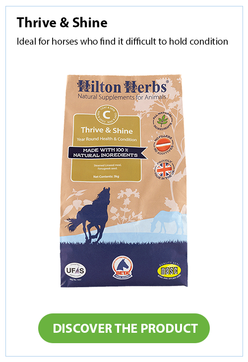 Thrive & Shine | Hilton Herbs