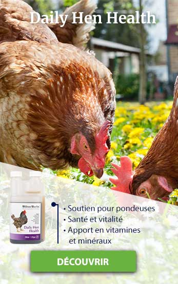 Homepage Right Poultry image