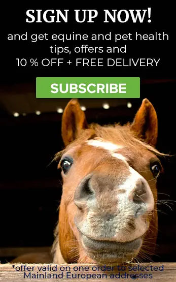 Homepage Right Horses image