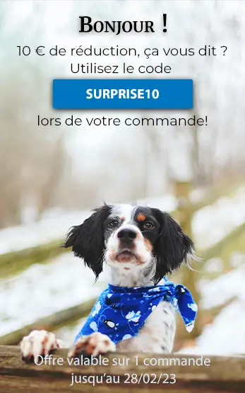 Homepage Right Dogs image