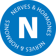Nerves & Hormones category image