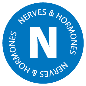 Nerves & Hormones