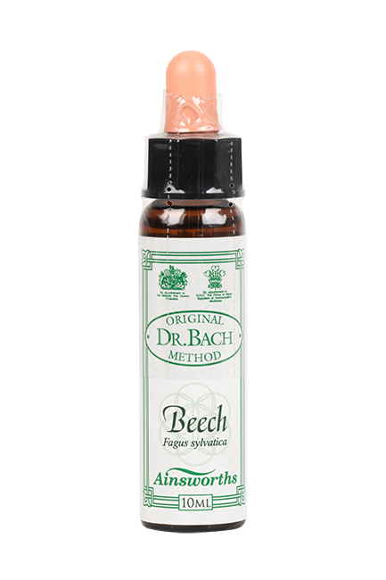Beech Bach Flower Remedy 10ml bottle