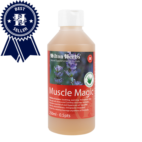 Muscle Magic - 250ml Bottle