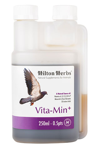 Vita-Min+ 250ml Bottle
