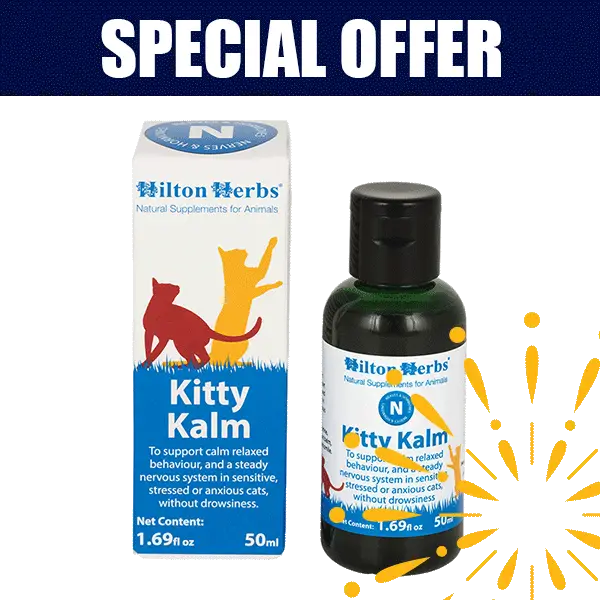 Kitty Kalm - 50ml bottle and box with best seller rosette