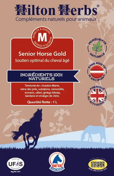 Senior Horse Gold - Back label