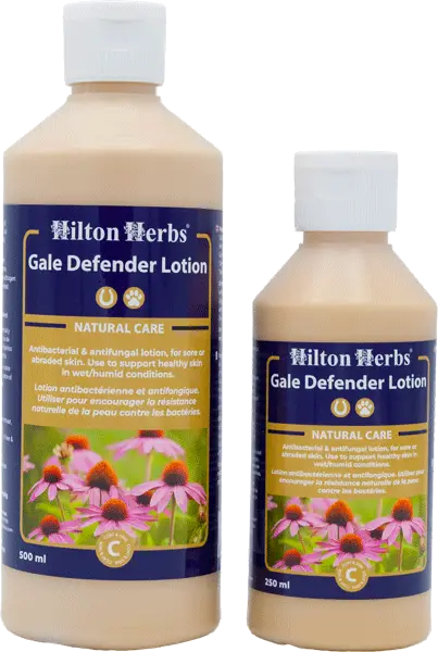 Etiquette de Gale Defender Lotion de Hilton Herbs