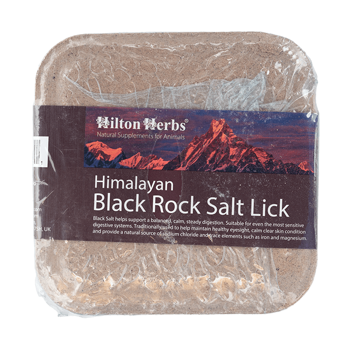 Black Himalayan Salt Lick 2.2lb Rock Salt - front on