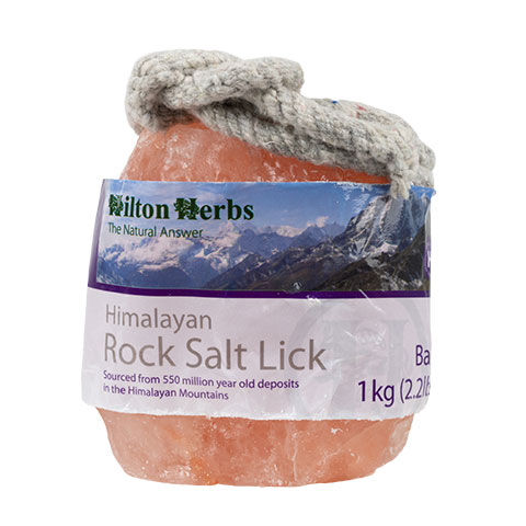 Pink Himalayan Rock Salt Lick - 2.2lb
