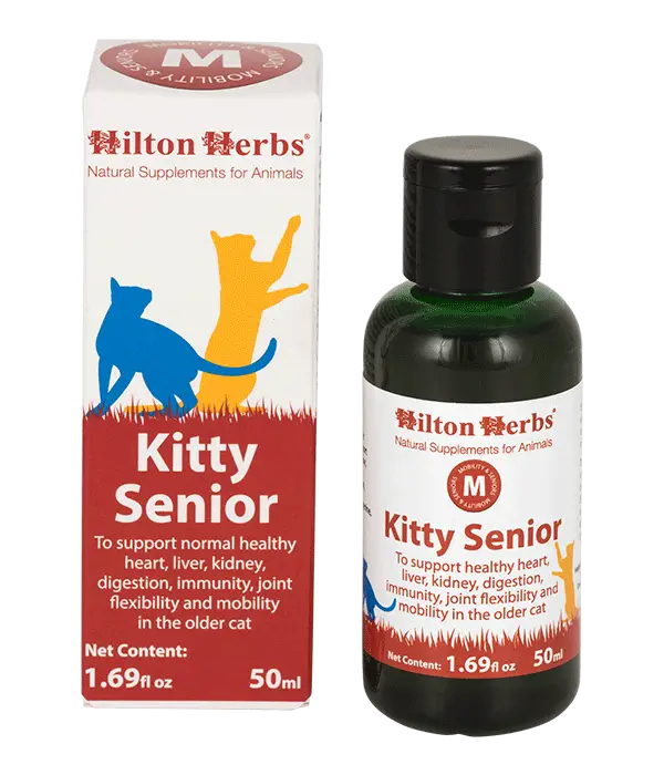 Kitty Senior - 50ml bottle and box with best seller rosette