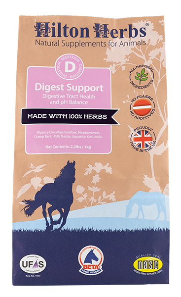Digest Support - Front - Bag