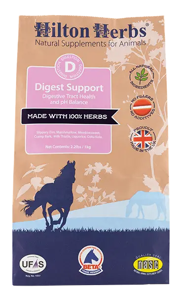 Digest Support - Front - Bag