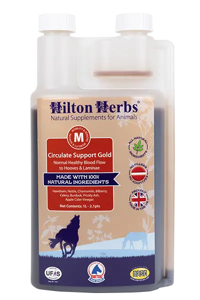 HILTON Herbs NERO DELL'HIMALAYA SALE GROSSOCavalli & Pony 