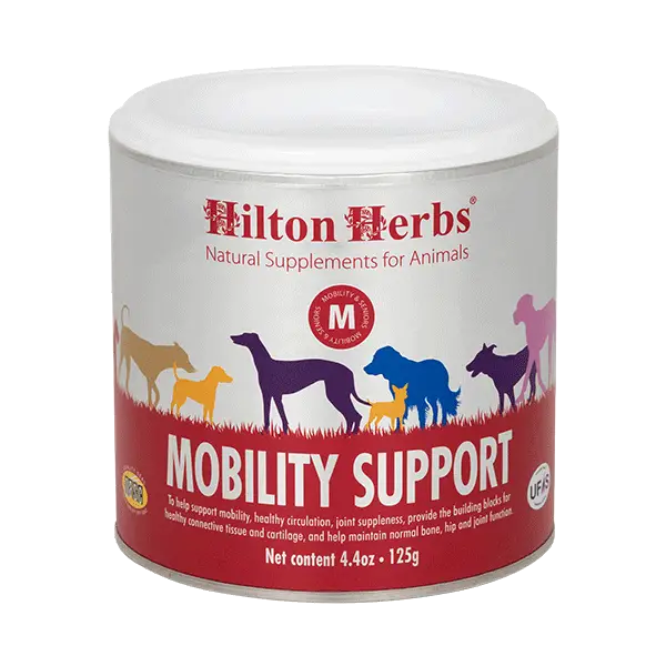 Un pot de Mobility Support pour chien de Hilton Herbs