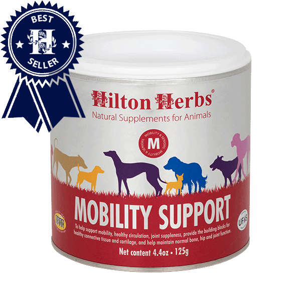 Un pot de Mobility Support pour chien de Hilton Herbs