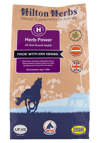 Herb Power - 1kg bag front