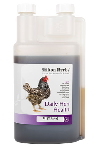 Daily Hen Health : image