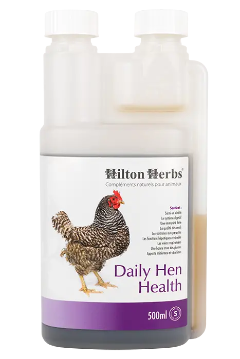 Daily Hen Health - 500ml bottle with best seller rosette