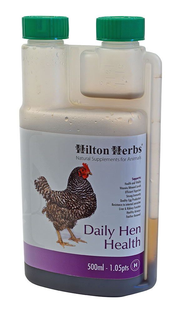 Daily Hen Health image